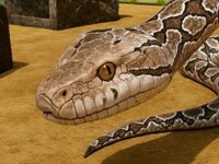 Anaconda Escape Puzzle Simulator