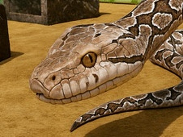 Anaconda Escape Puzzle Simulator